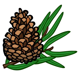 Rustic Pine Cone Clipart with Verdant Green Needles Illustration