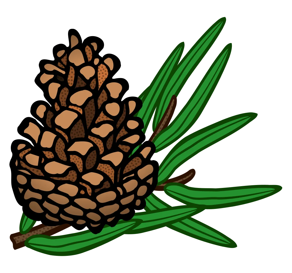 Rustic Pine Cone Clipart with Verdant Green Needles Illustration
