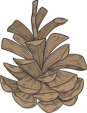 Rustic Woodland Pine Cone Clipart: Intricate Natural Sketch Design