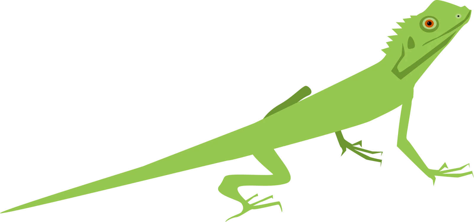 Serene Green Iguana Clipart: Elegant Reptilian Design for Nature Illustrations