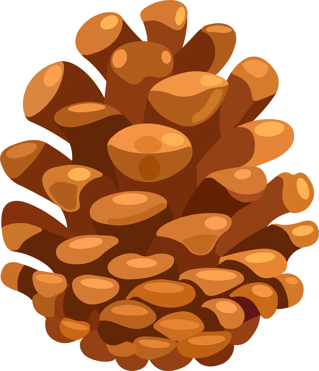 Warm Golden Brown Pine Cone Clipart with Soft Textured Scales