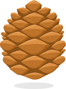 Warm Golden Pine Cone Clipart Illustration with Soft Shadow Design