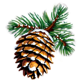 Detailed Pine Cone and Evergreen Needles Botanical Clipart Illustration