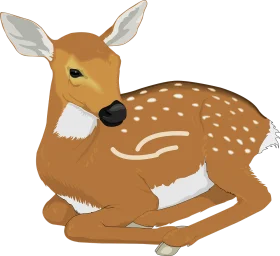 Adorable Fawn Clipart: Cute Baby Deer Illustration with Soft Spots and Gentle Pose