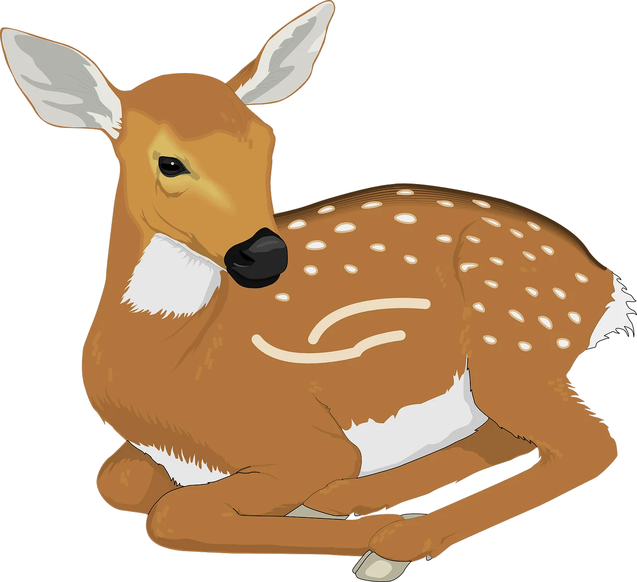 Adorable Fawn Clipart: Cute Baby Deer Illustration with Soft Spots and Gentle Pose