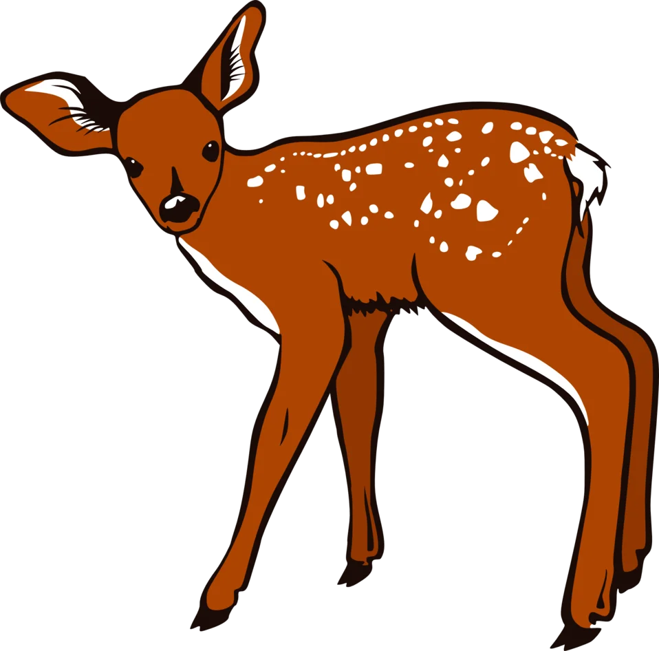 Adorable Fawn Clipart Illustration: Innocent Woodland Creature with Spotted Coat