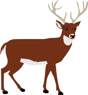 Elegant Brown Woodland Deer Clipart Illustration with Majestic Antlers