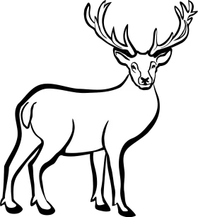 Elegant Line Art Deer Clipart with Majestic Antlers and Graceful Stance