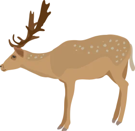 Elegant Spotted Deer with Majestic Antlers Woodland Creature Clipart Design
