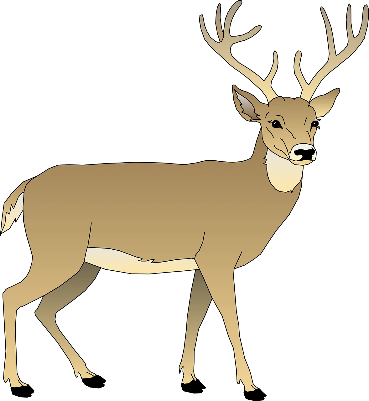 Elegant White-Tailed Deer Clipart Illustration with Majestic Antlers