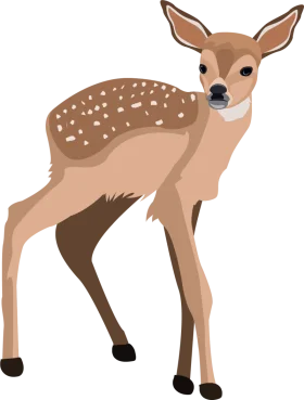 Gentle Fawn Clipart: Adorable Woodland Creature with Soft Spotted Coat
