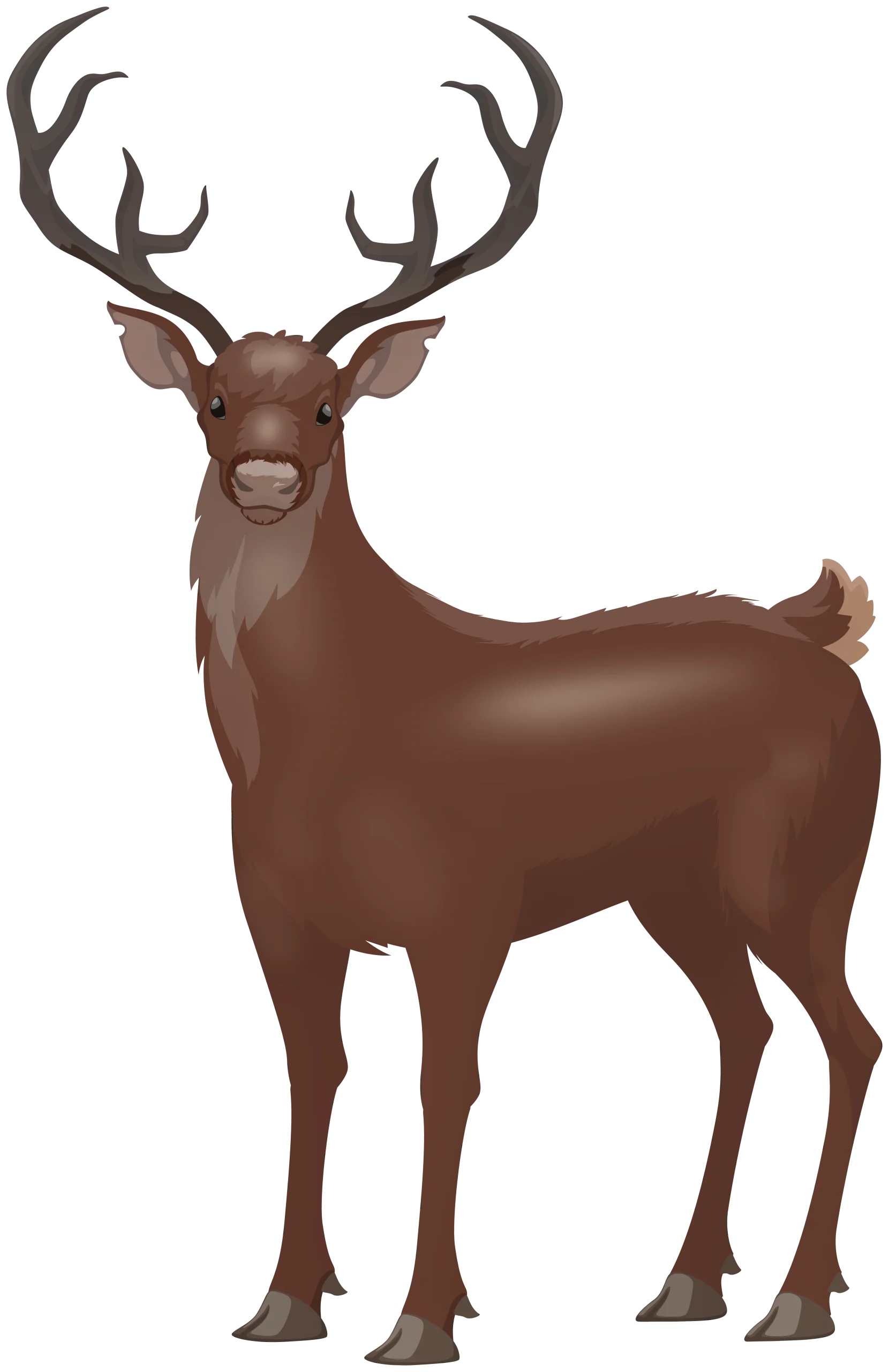 Majestic Brown Deer with Antlers Standing Proud - Nature Clipart Illustration