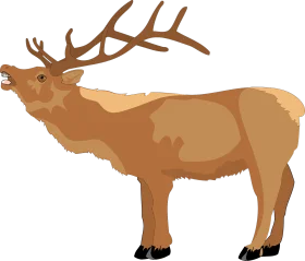 Majestic Bull Elk Standing Proud: Detailed Wildlife Clipart Illustration
