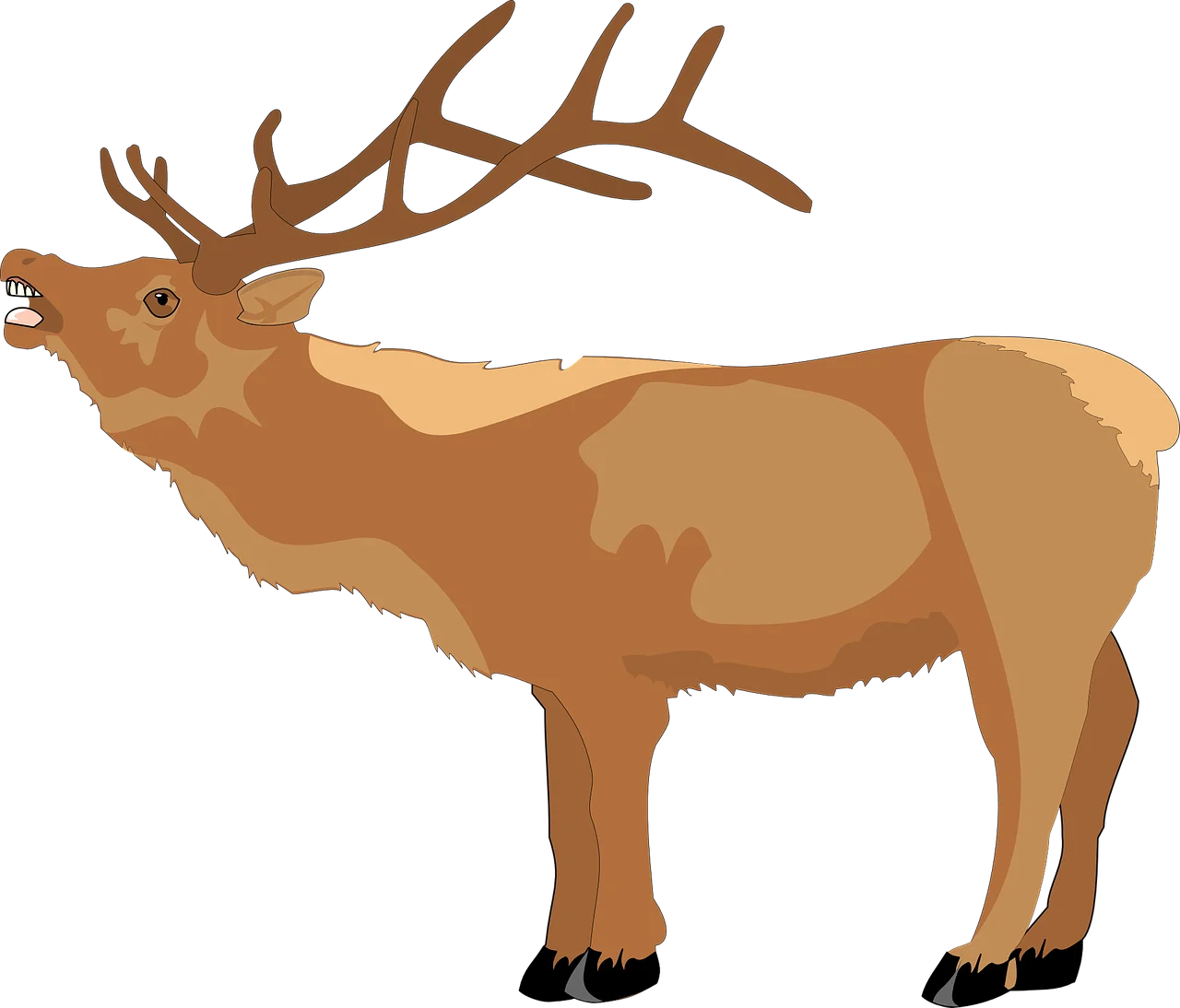 Majestic Bull Elk Standing Proud: Detailed Wildlife Clipart Illustration