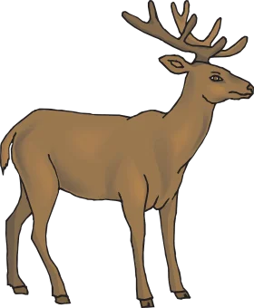 Majestic Wild Stag with Impressive Antlers - Woodland Creature Clipart Design