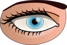 Detailed Blue Eye Clipart Illustration with Delicate Eyelash Rendering