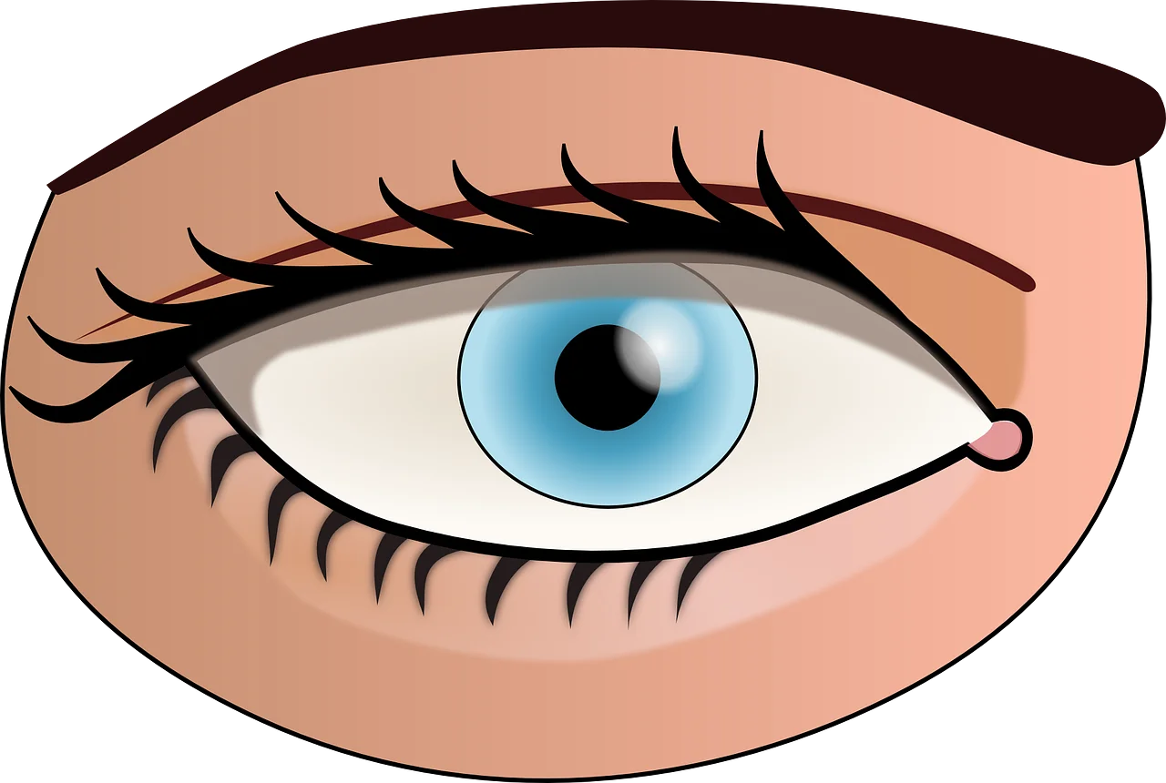 Detailed Blue Eye Clipart Illustration with Delicate Eyelash Rendering