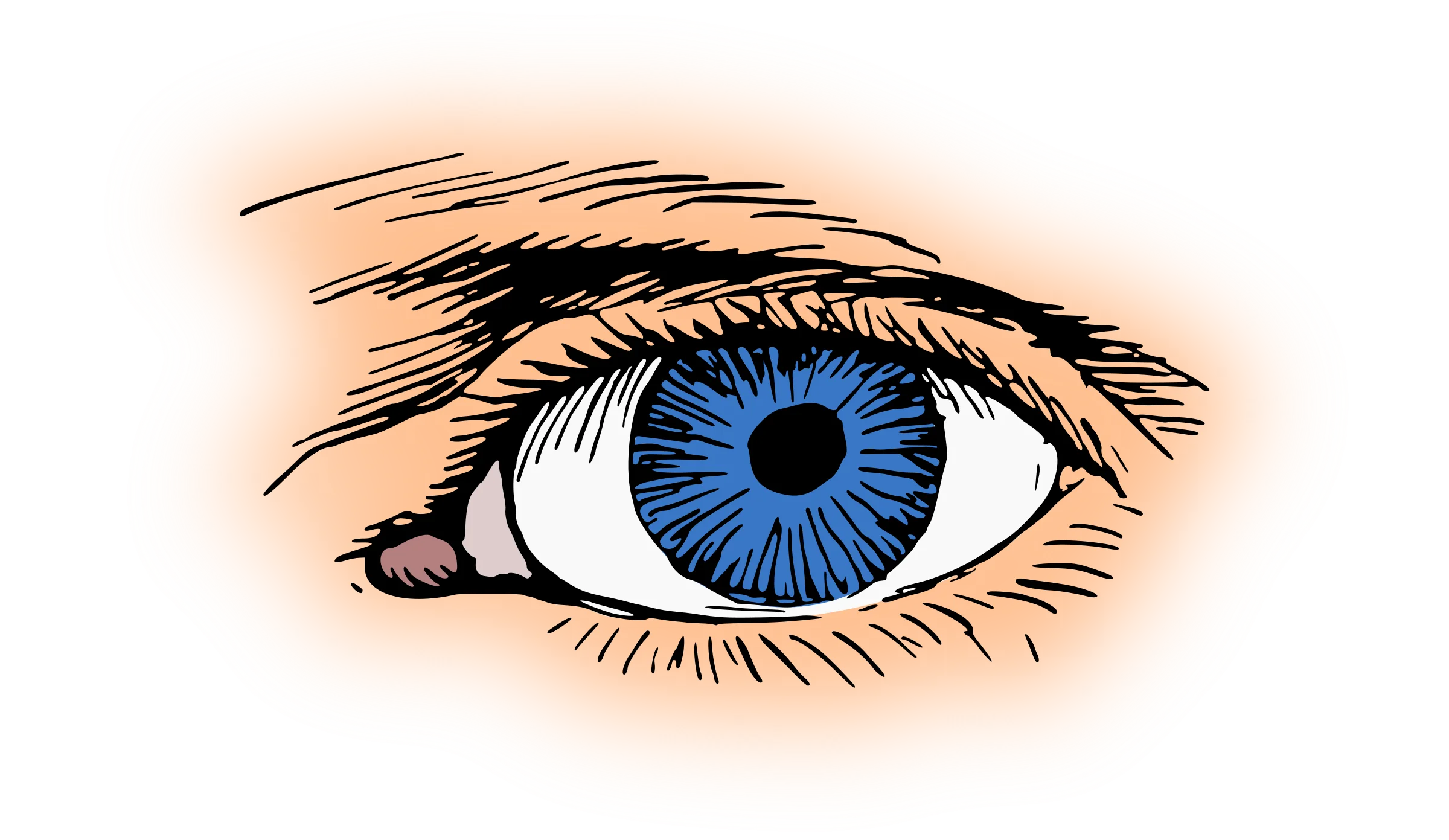 Detailed Blue-Toned Human Eye Clipart with Intricate Eyelash Rendering