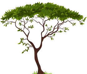 Elegant Minimalist Green Leafy Acacia Tree Silhouette Clipart Design