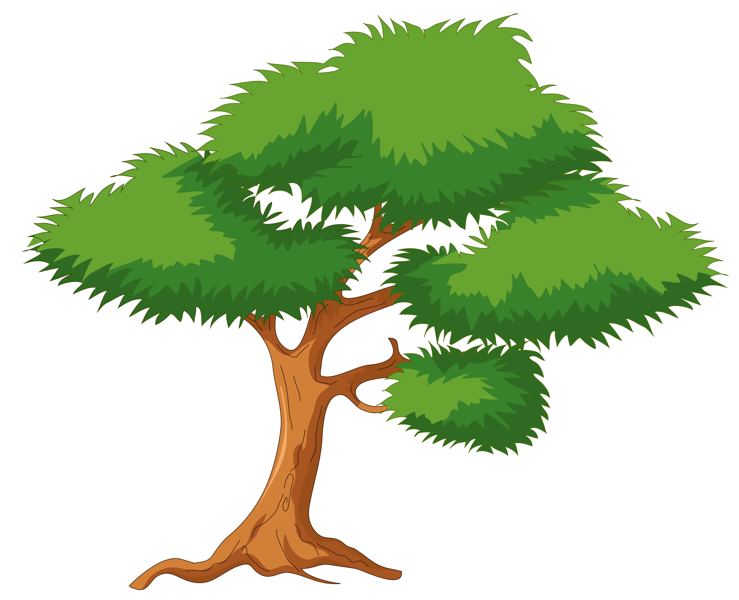 Lush Green Bonsai-Style Tree Clipart with Intricate Branching Design