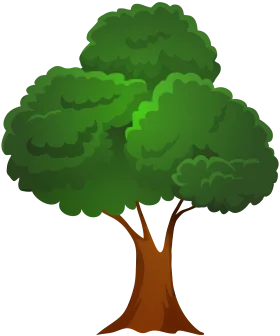 Lush Green Deciduous Tree Clipart: A Serene Natural Illustration with Rounded Canopy
