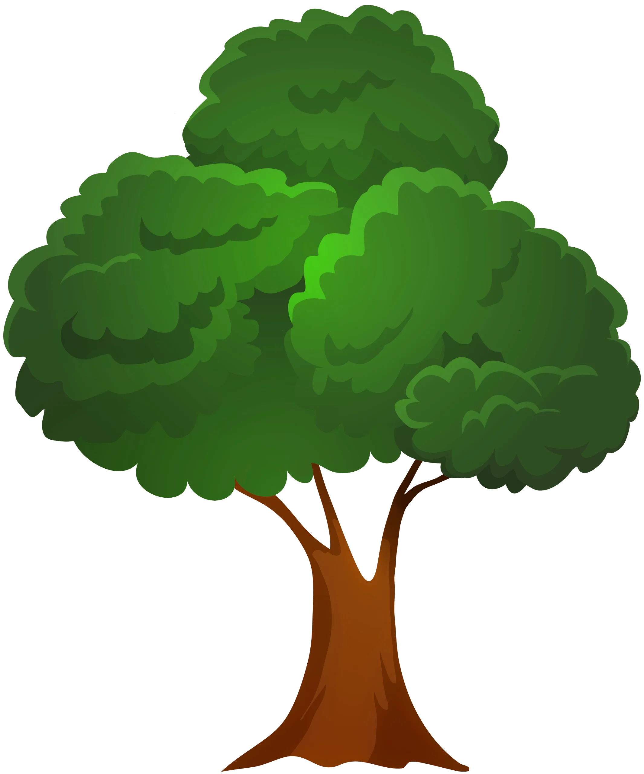 Lush Green Deciduous Tree Clipart: A Serene Natural Illustration with Rounded Canopy