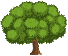 Lush Green Deciduous Tree Clipart with Expansive Leafy Canopy and Sturdy Trunk