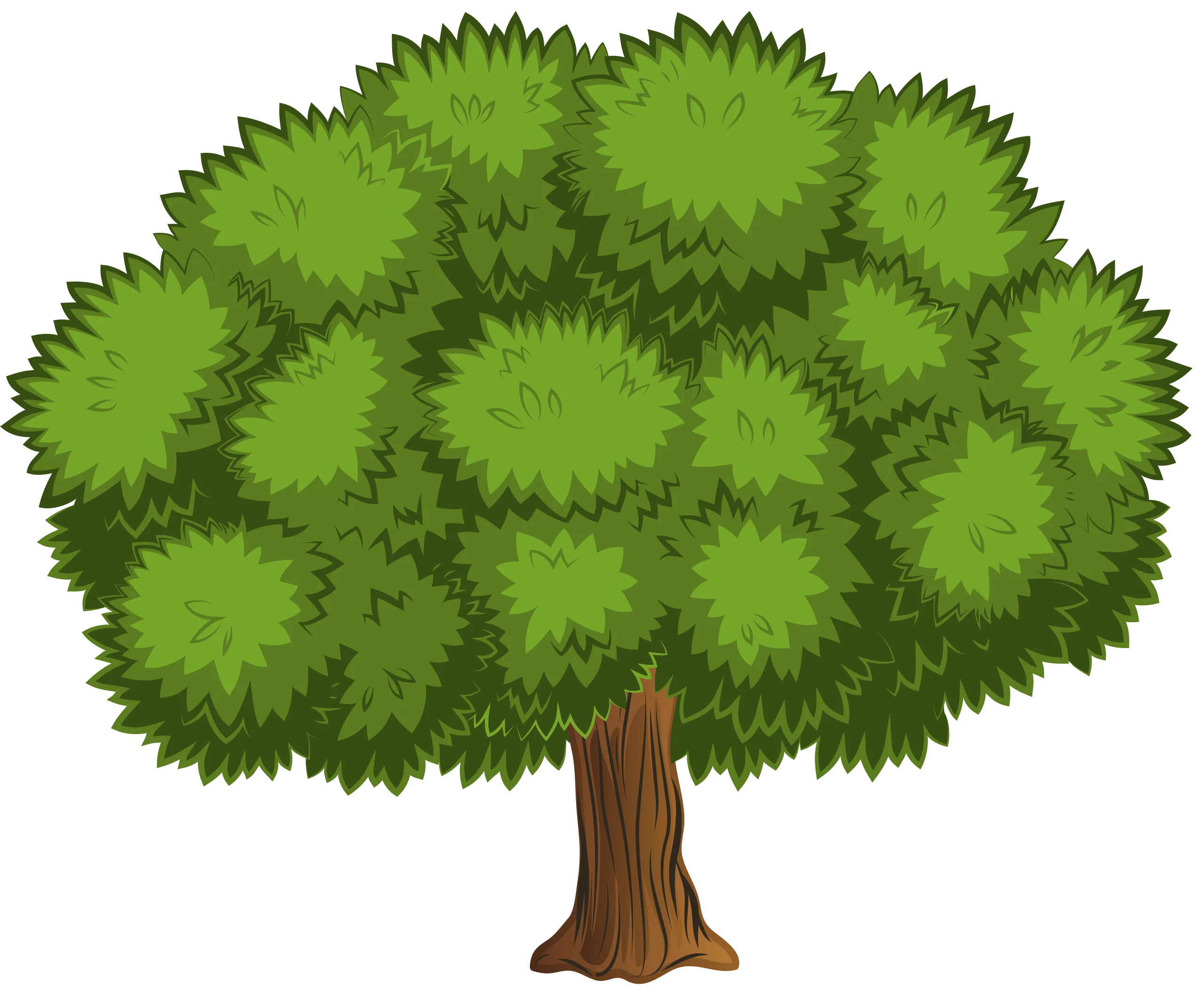 Lush Green Deciduous Tree Clipart with Expansive Leafy Canopy and Sturdy Trunk