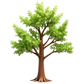 Lush Green Deciduous Tree Clipart with Spreading Branches and Natural Silhouette