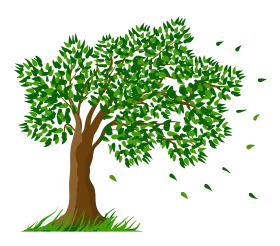 Lush Green Deciduous Tree Clipart with Windswept Leaves and Strong Trunk