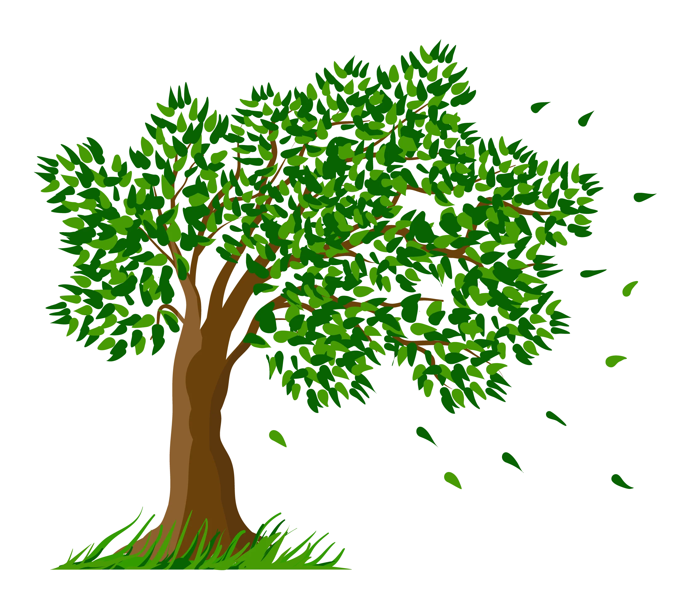 Lush Green Deciduous Tree Clipart with Windswept Leaves and Strong Trunk