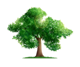 Lush Green Oak Tree Clipart Illustration with Soft Textured Foliage