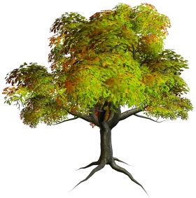 Lush Green Woodland Tree Clipart with Sprawling Branches and Detailed Foliage