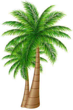 Lush Tropical Palm Tree Clipart Illustration with Verdant Green Fronds