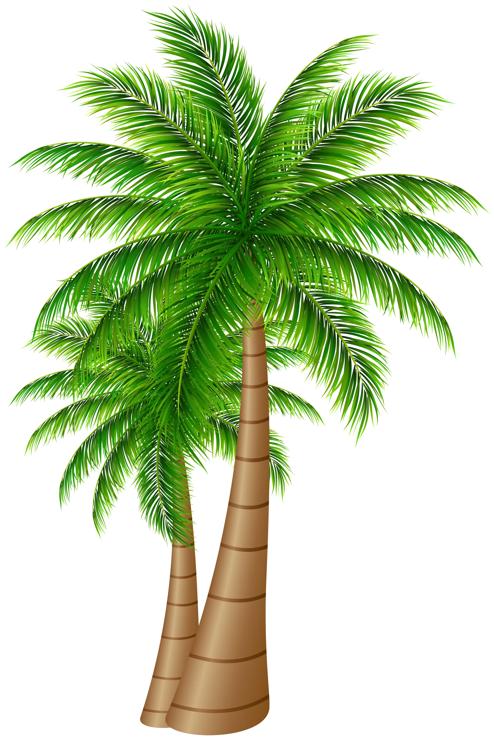Lush Tropical Palm Tree Clipart Illustration with Verdant Green Fronds