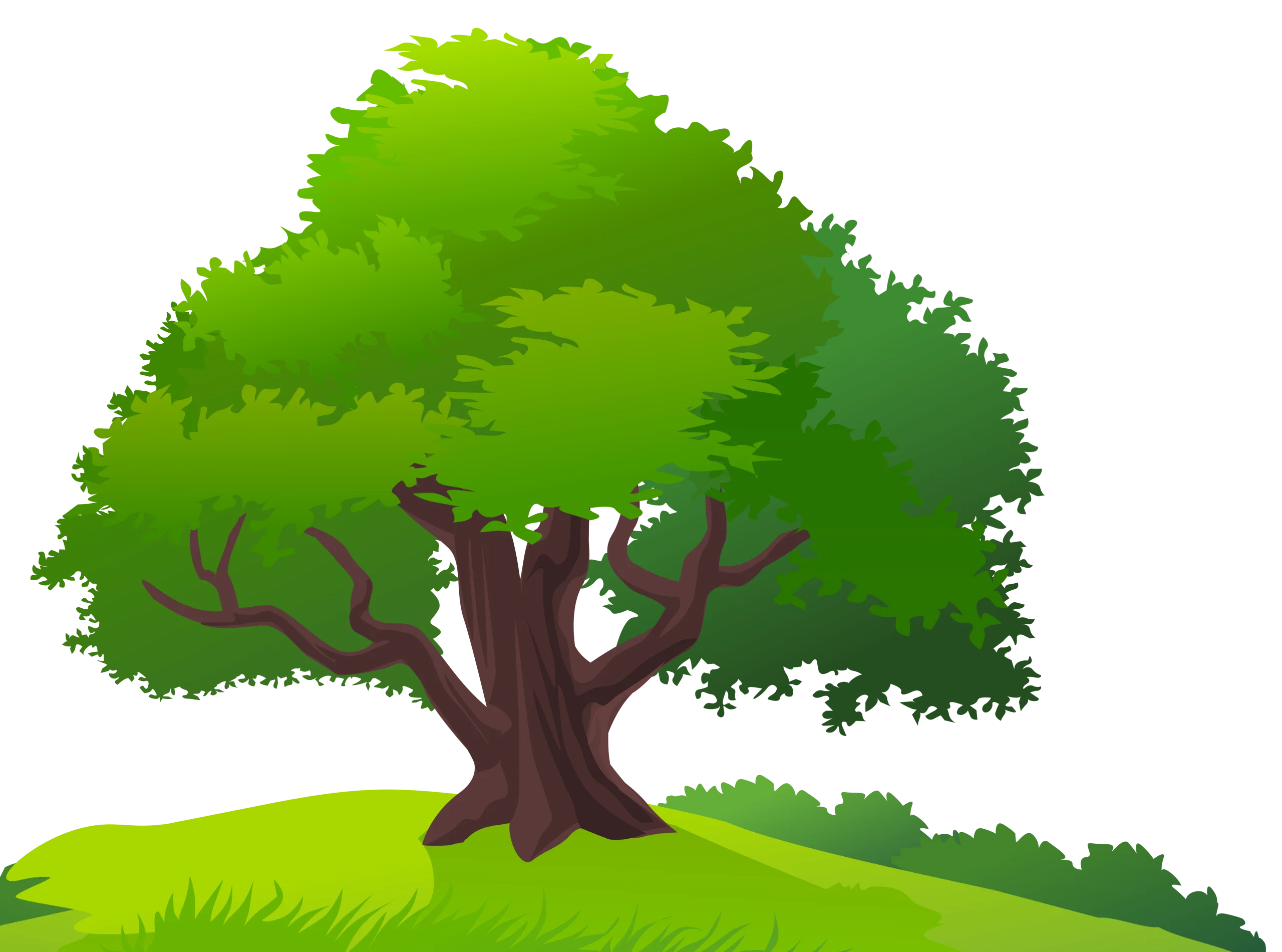 Majestic Ancient Oak Tree Standing Tall on Grassy Knoll Clipart Illustration