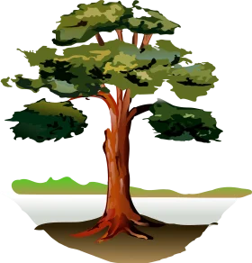 Majestic Woodland Sentinel: A Stylized Tree Clipart Illustration of Natural Beauty