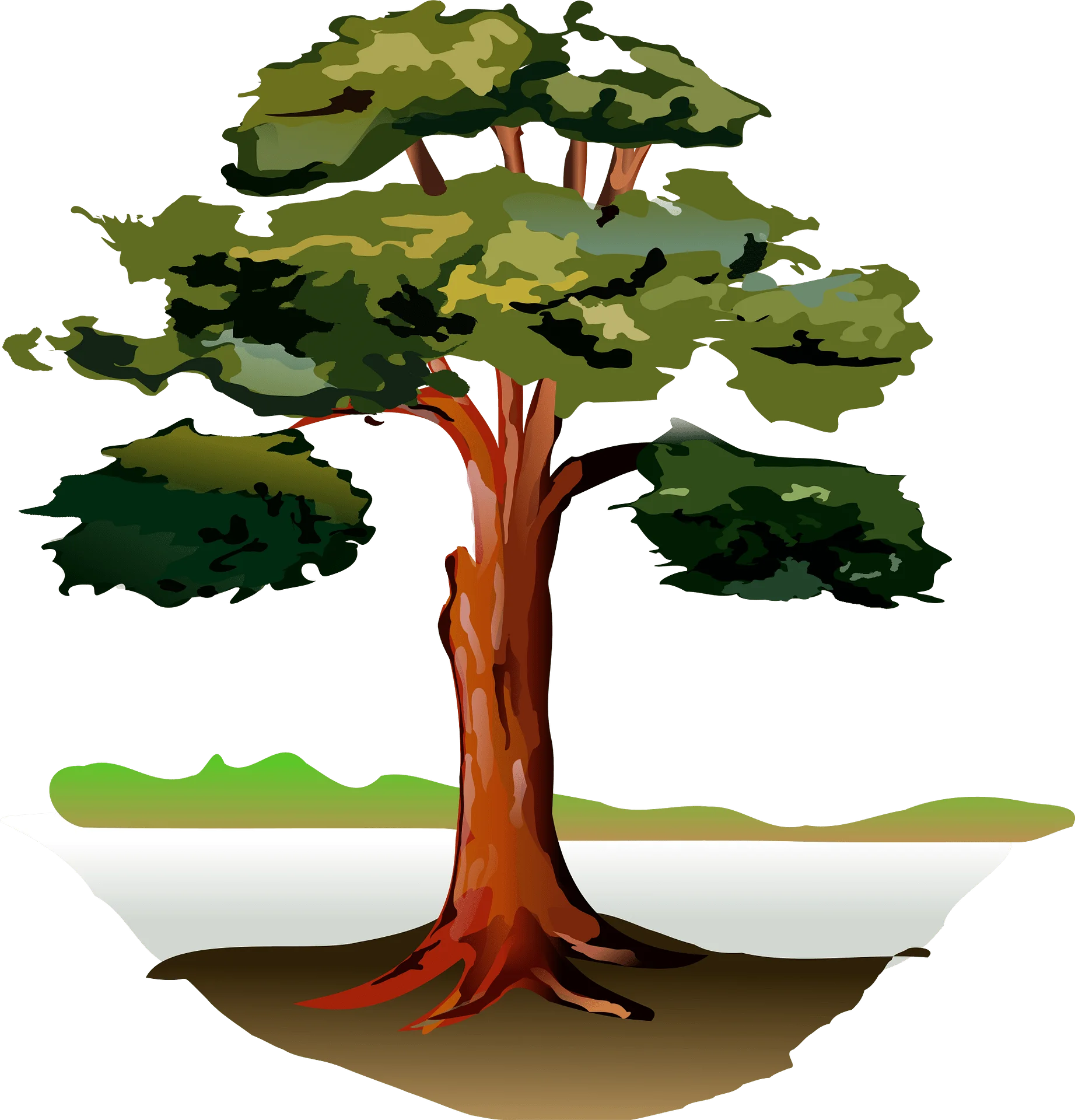 Majestic Woodland Sentinel: A Stylized Tree Clipart Illustration of Natural Beauty