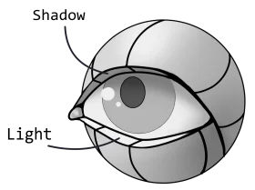 Monochromatic Anatomical Eye Clipart: Illuminating Geometric Shading Techniques