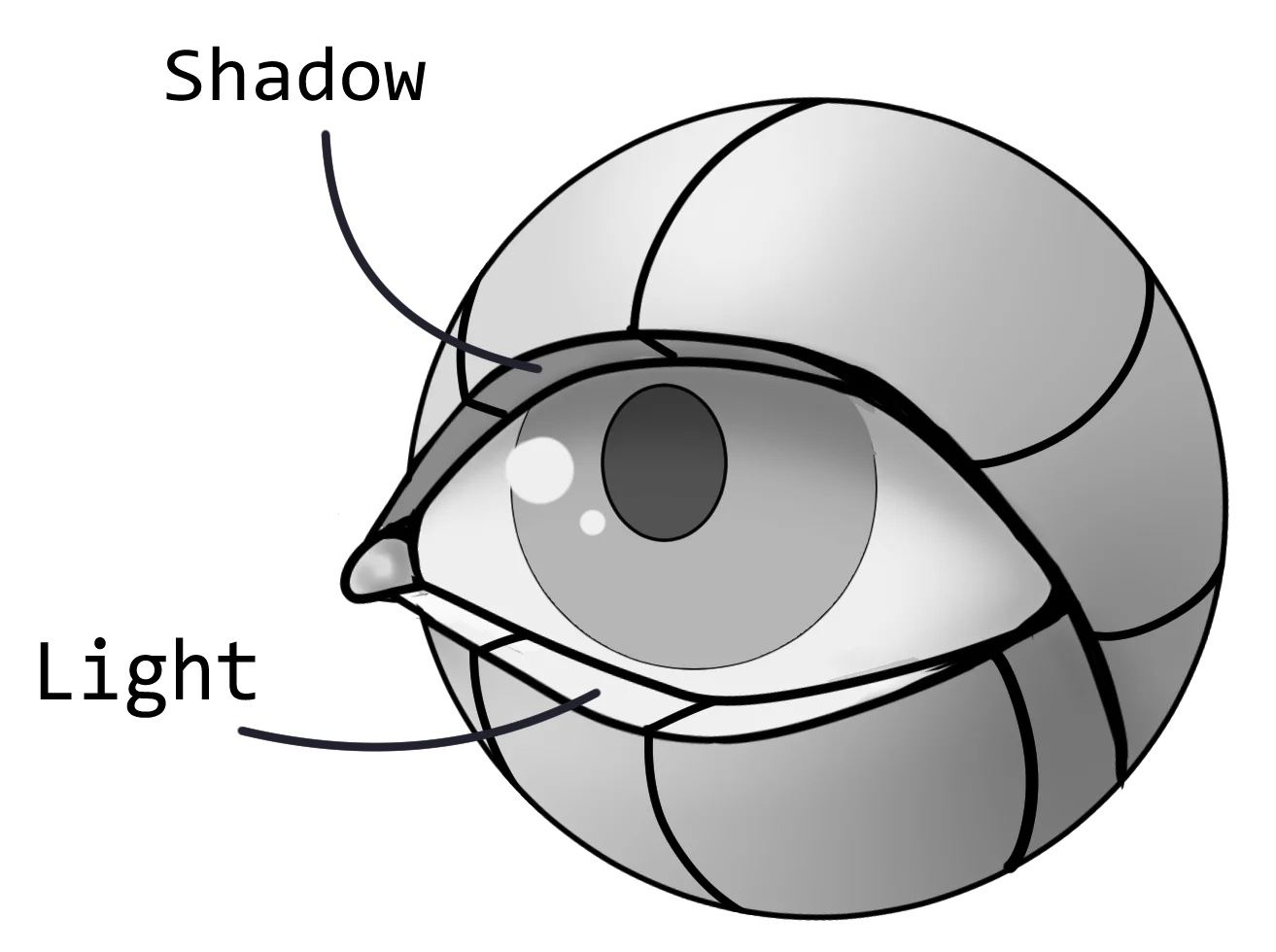 Monochromatic Anatomical Eye Clipart: Illuminating Geometric Shading Techniques