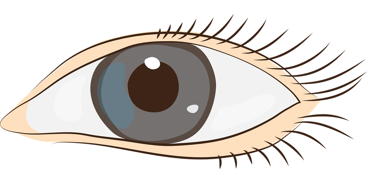 Realistic Gray Human Eye Clipart Illustration with Detailed Eyelashes and Soft Contours