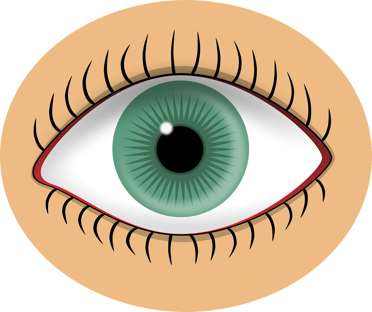 Realistic Green Eye Clipart with Long Eyelashes on Soft Peach Background