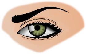 Realistic Green-Eyed Eye Clipart Illustration with Detailed Eyebrow and Soft Skin Tone