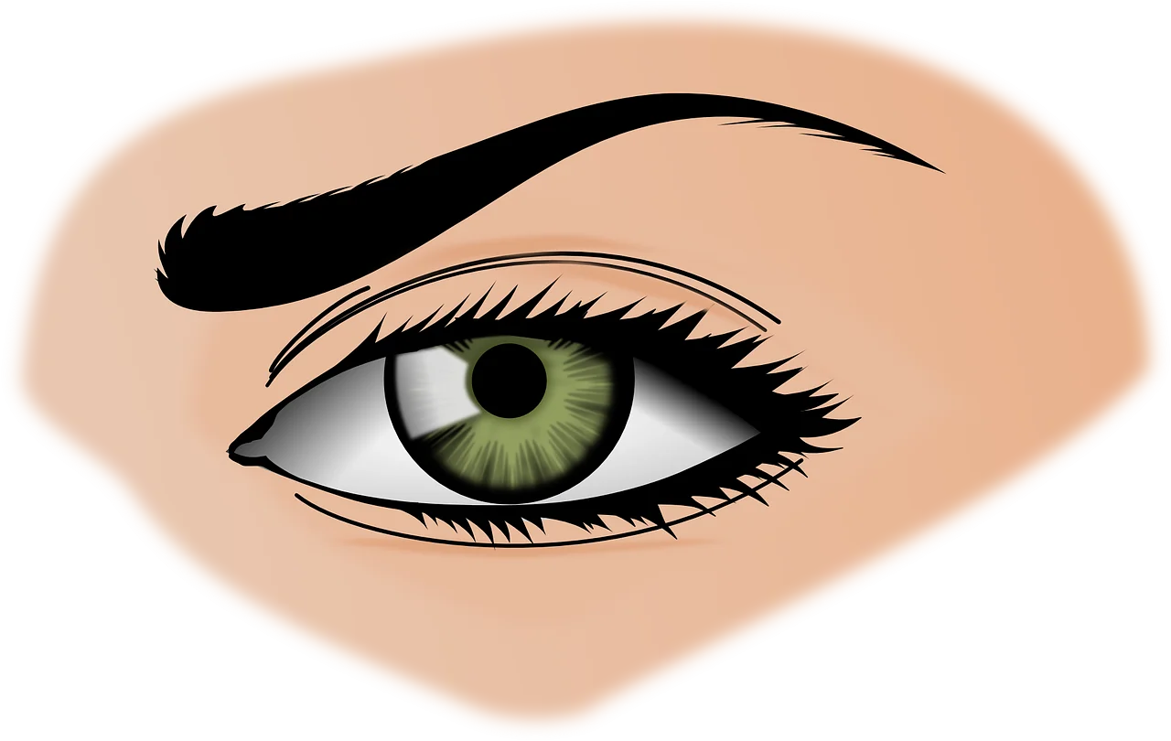 Realistic Green-Eyed Eye Clipart Illustration with Detailed Eyebrow and Soft Skin Tone