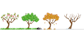 Seasonal Tree Transformation Clipart: Nature's Annual Cycle in Artistic Illustration
