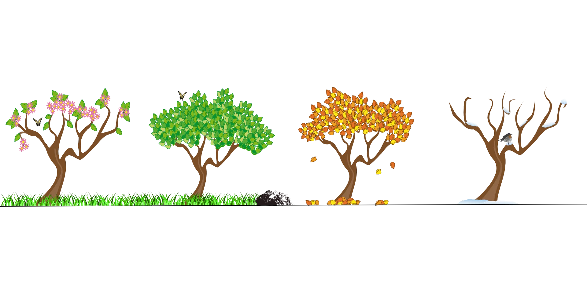 Seasonal Tree Transformation Clipart: Nature's Annual Cycle in Artistic Illustration
