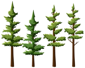 Serene Forest Pine Trees Illustration Woodland Clipart Collection