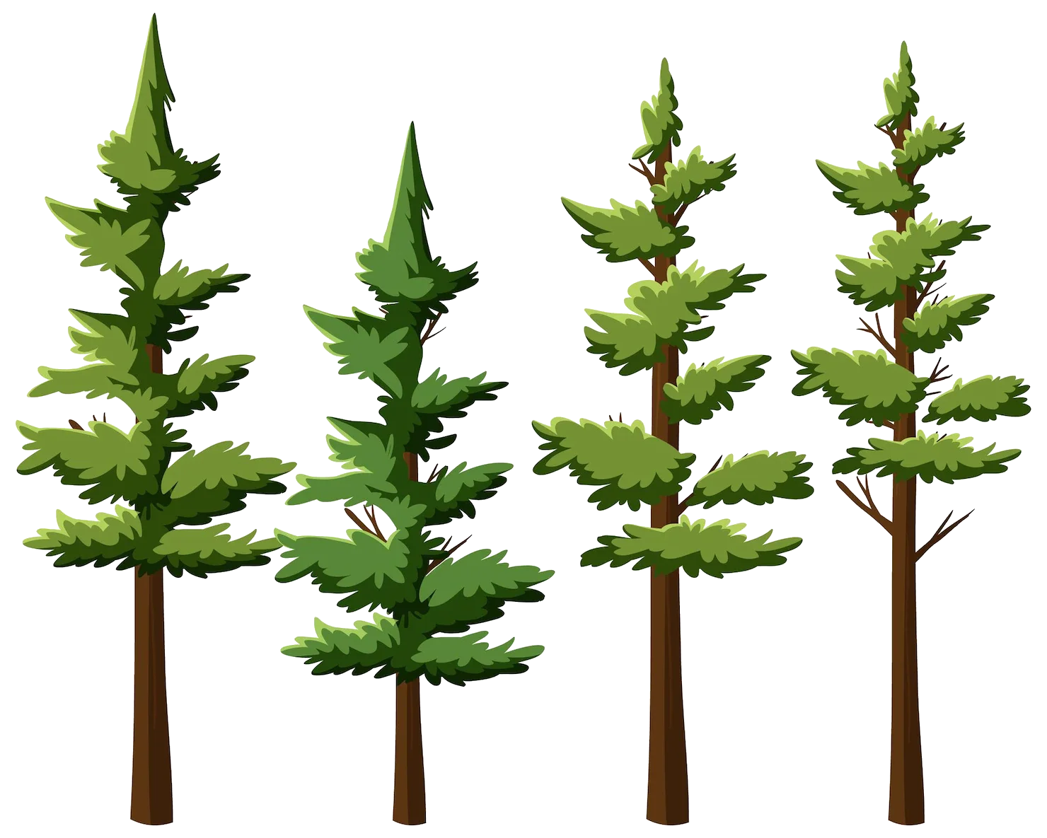 Serene Forest Pine Trees Illustration Woodland Clipart Collection