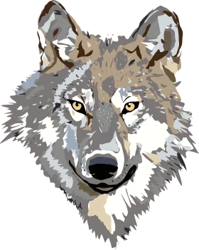 Majestic Gray Wolf Illustration Clipart: A Striking Wildlife Graphic Design