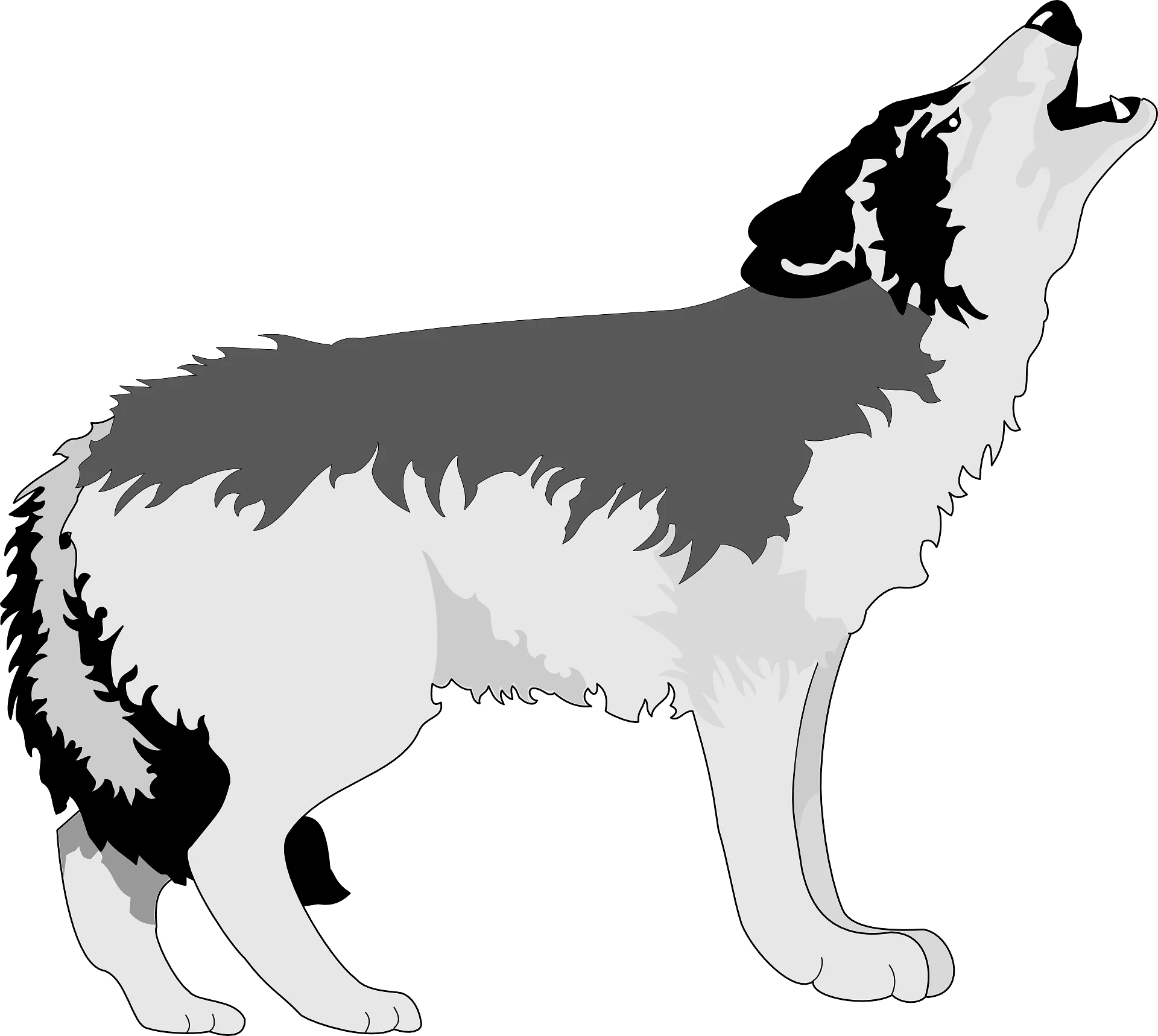 Monochrome Gray Wolf Howling Clipart - Wilderness Wildlife Illustration